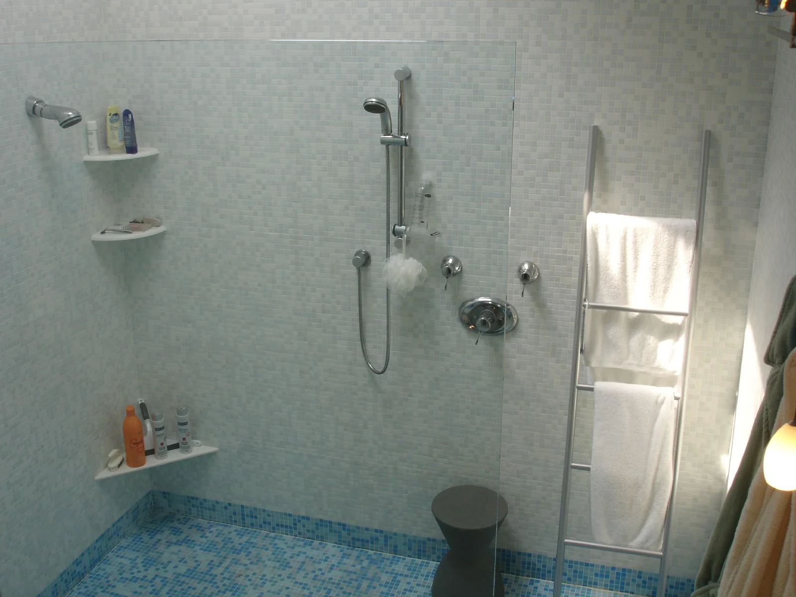 Bathroom with a glass partition separating the shower from the surrounding room